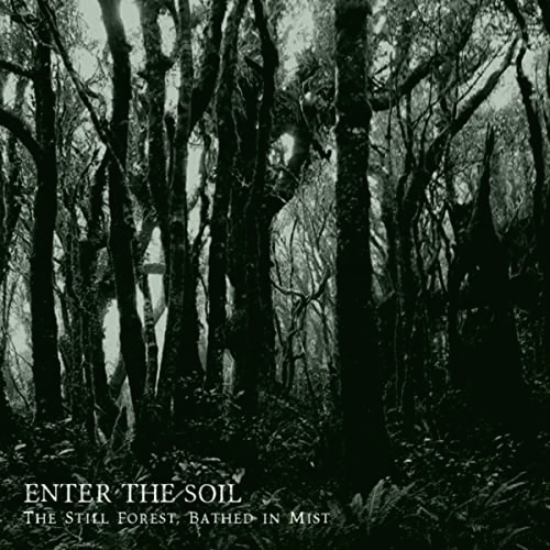 Enter The Soil : The Still Forest, Bathed in Mist